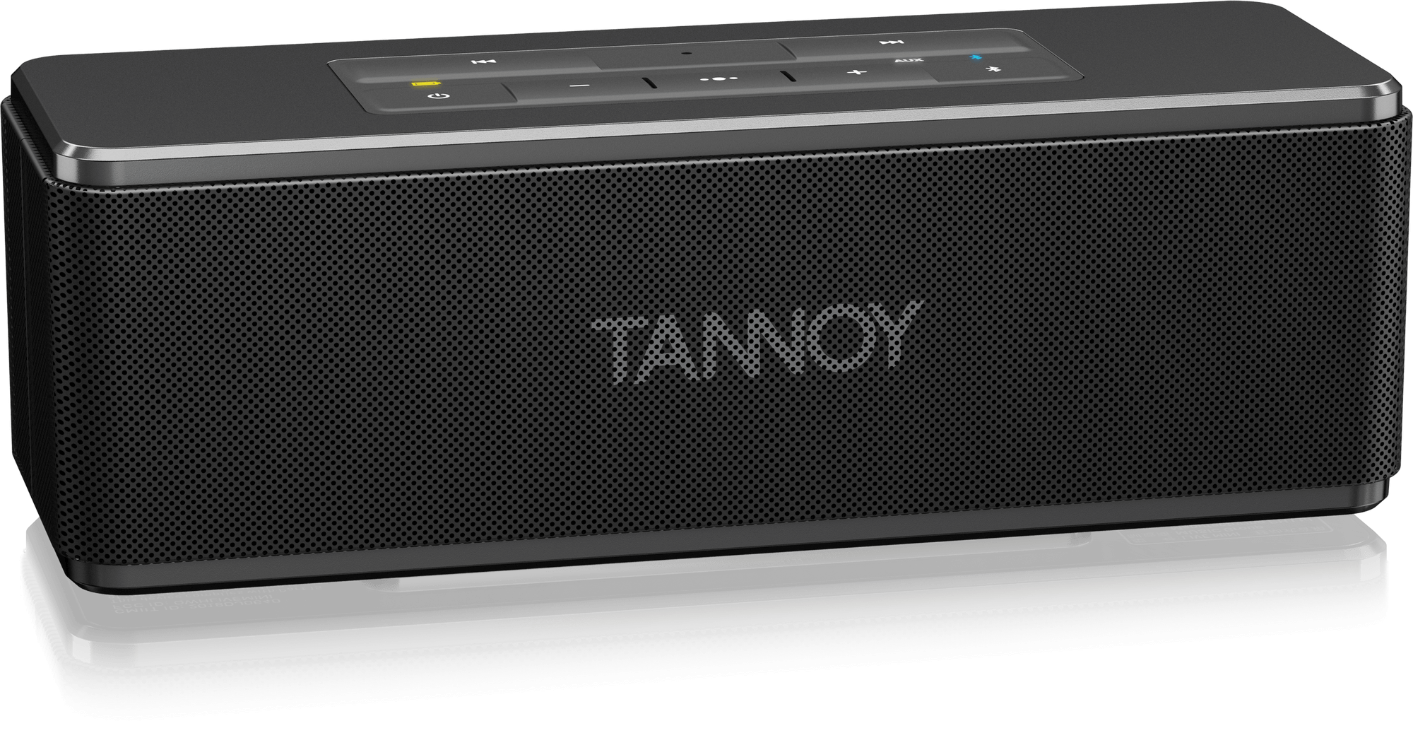 tannoy mini