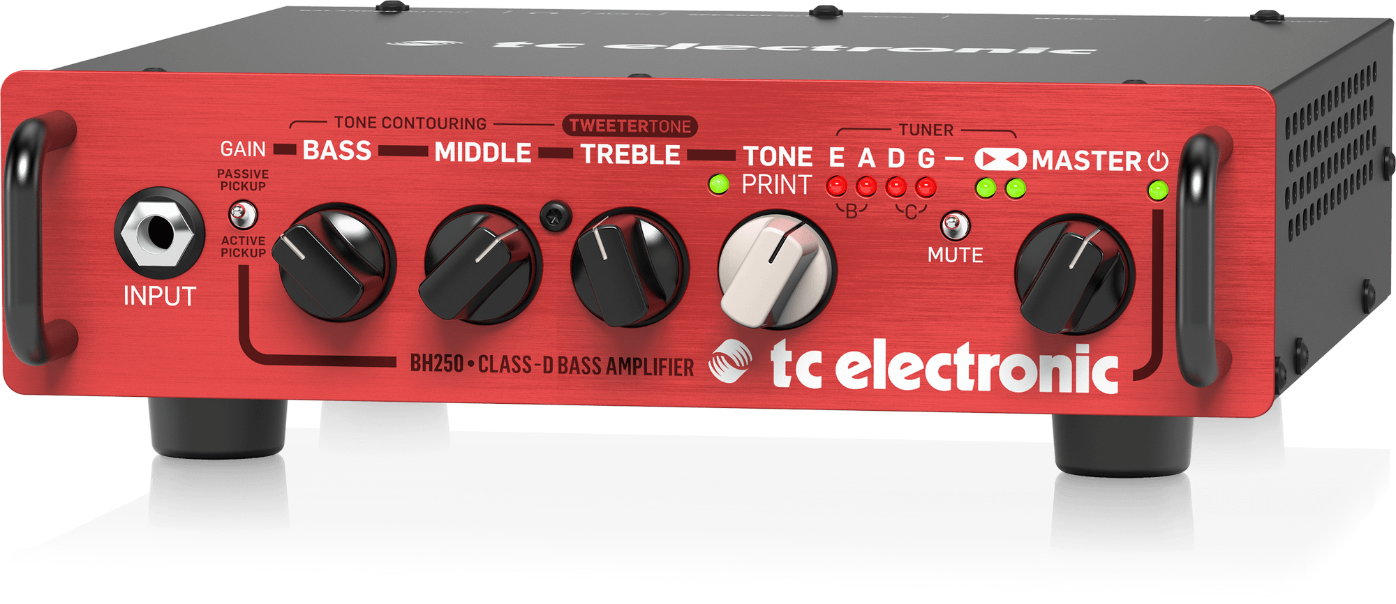 Bh250 bass head