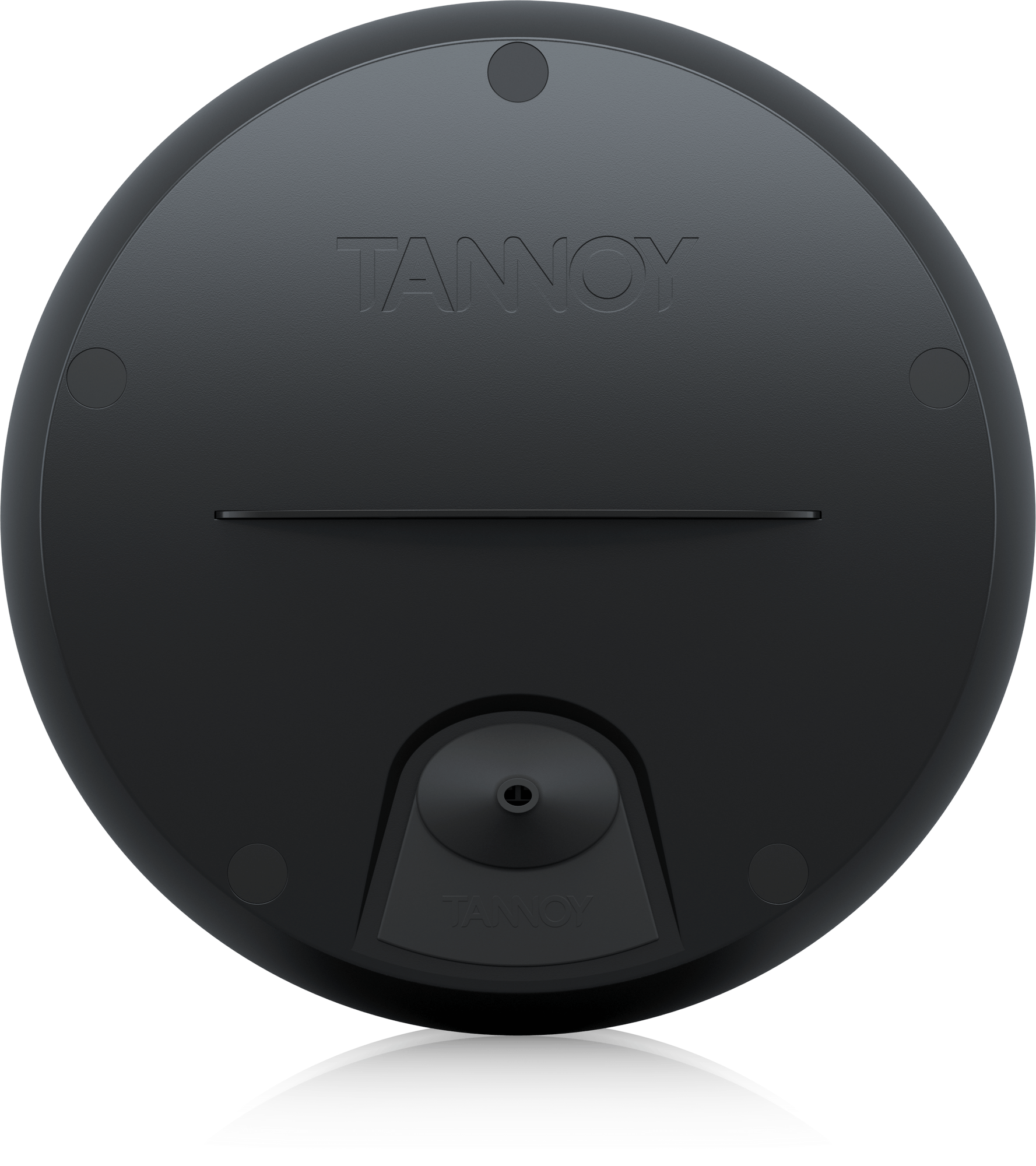 Tannoy Product OCV 8