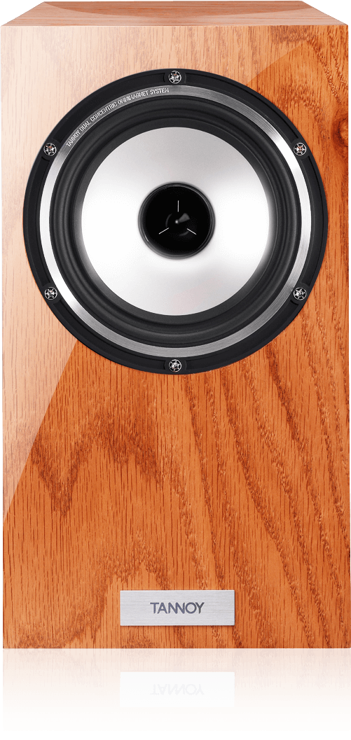 tannoy revolution xt mini