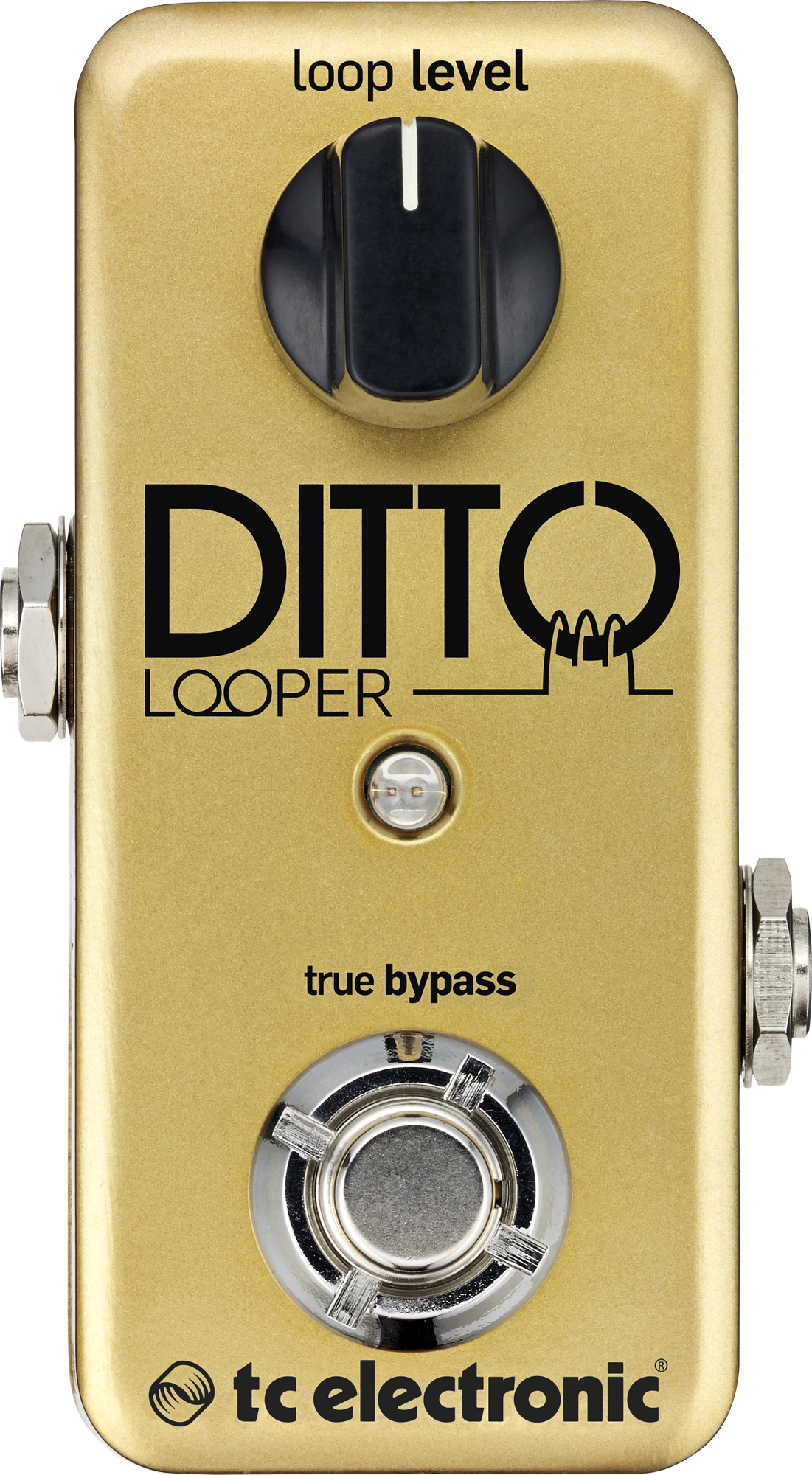 TC Electronic | Product | DITTO LOOPER GOLD