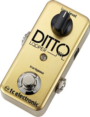 TC Electronic | Product | DITTO LOOPER GOLD