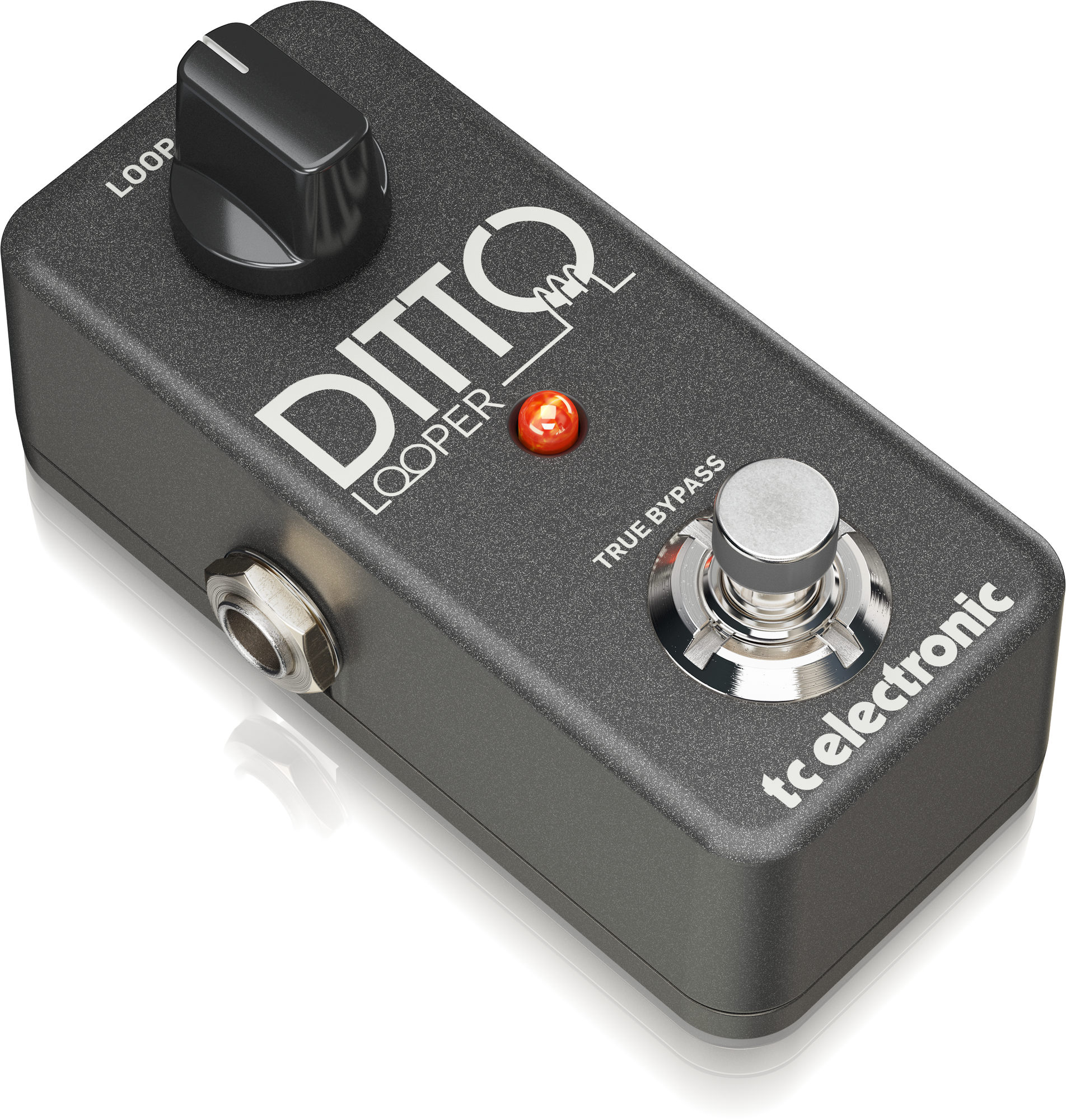 TC Electronic | Product | DITTO LOOPER