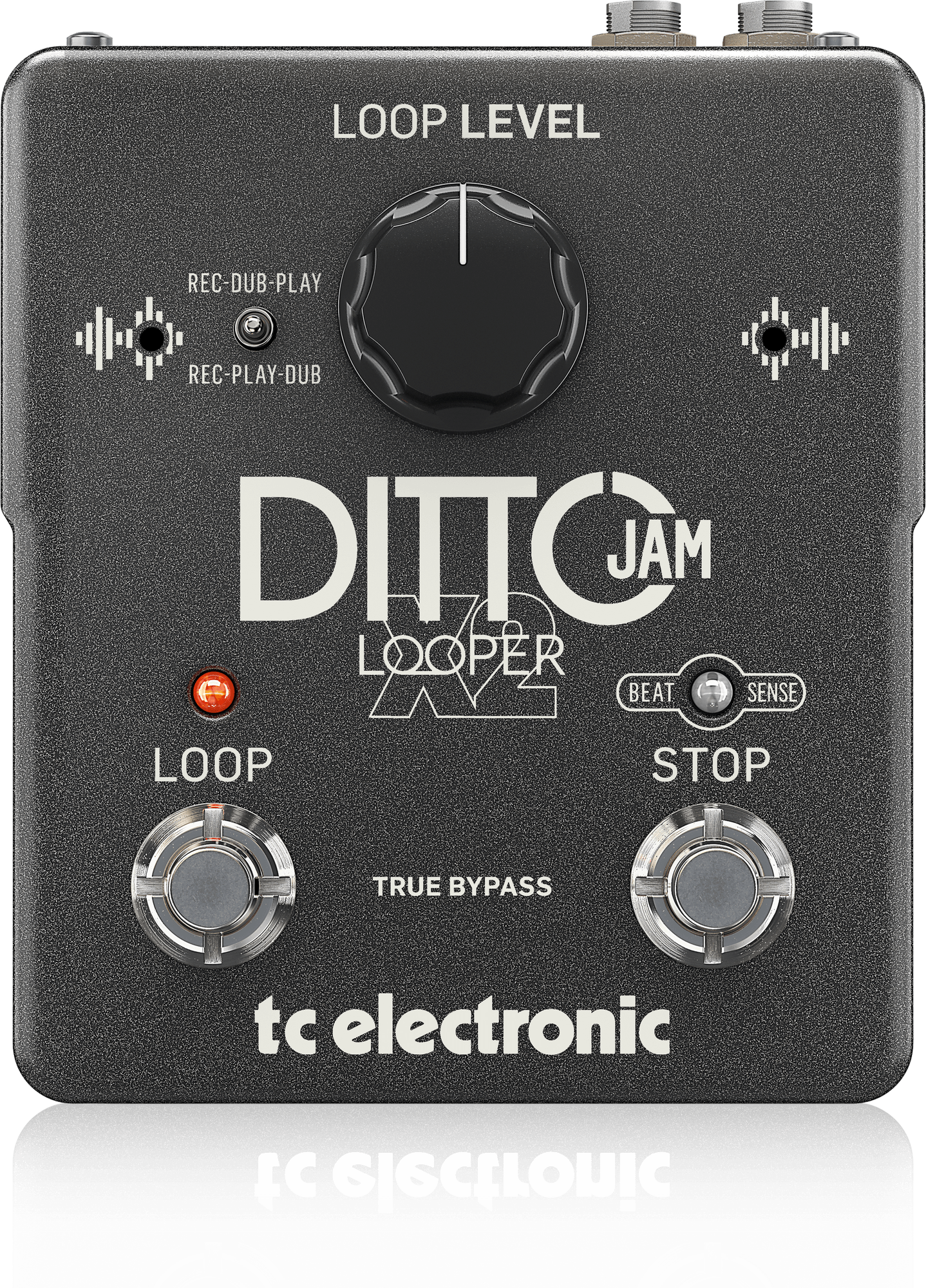 TC Electronic | Product | DITTO JAM X2 LOOPER