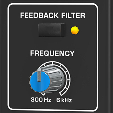 Integrated Feedback Filter and Sound Processor