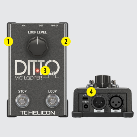 TC Helicon Ditto Mic Looper Pedal – GuitarPusher